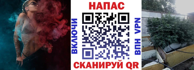 Шишки марихуана ГИДРОПОН  Кущёвская 